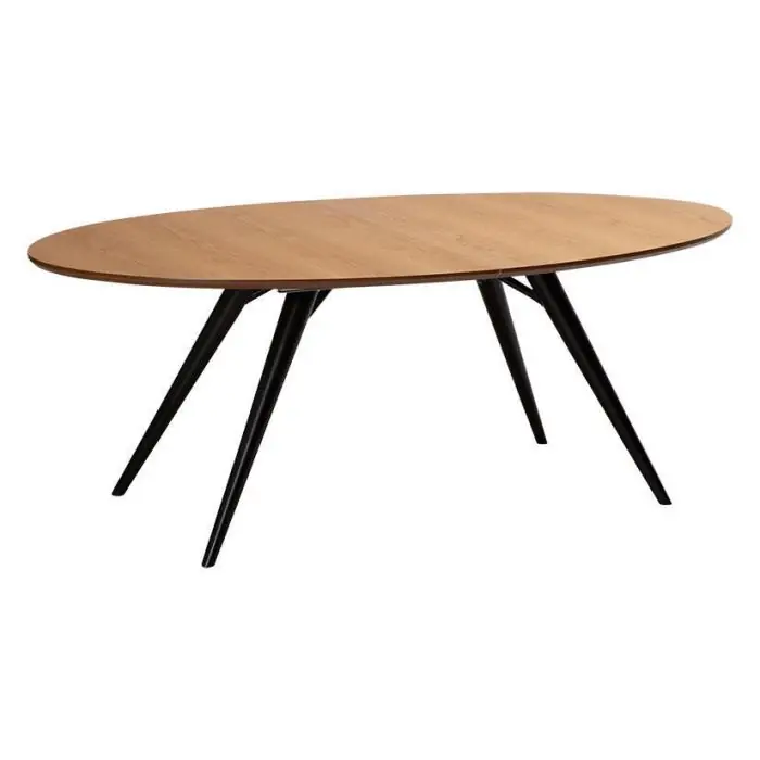 Eclipse 200-300X110 cm Oak veneer / Black - Dan-Form - Bonus Möbler Erbjudandepris