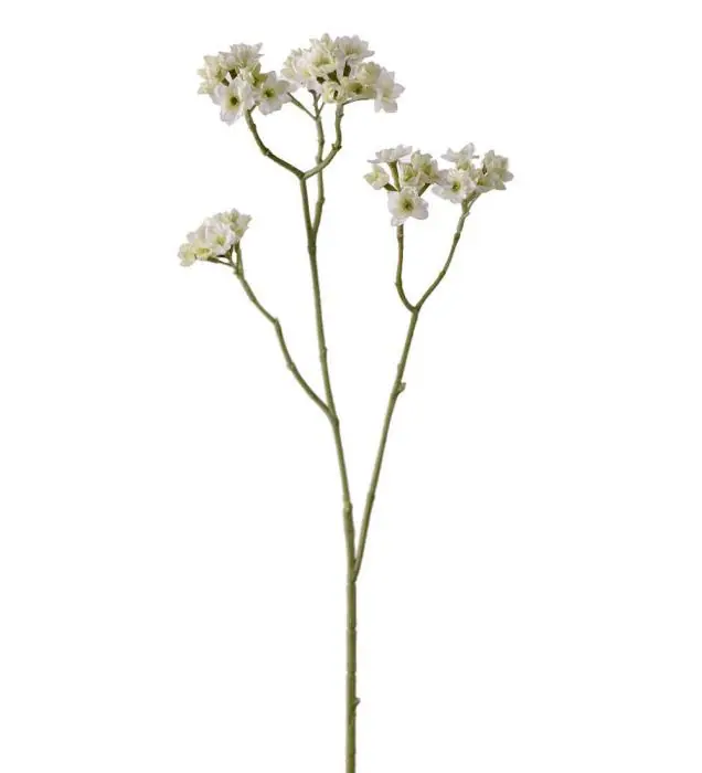 Endast denna vecka Blomkvist 80 cm Vit - Mr Plant - Bonus Möbler
