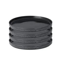 Servisen C | Tallrik 4 -pack Fynd