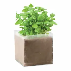 Basil - Kruka med Basilika Nyhet
