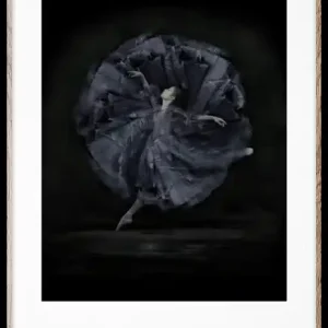 Köp nu Poster 'Essence of Ballet 06' 50x70 - Svart/Vit