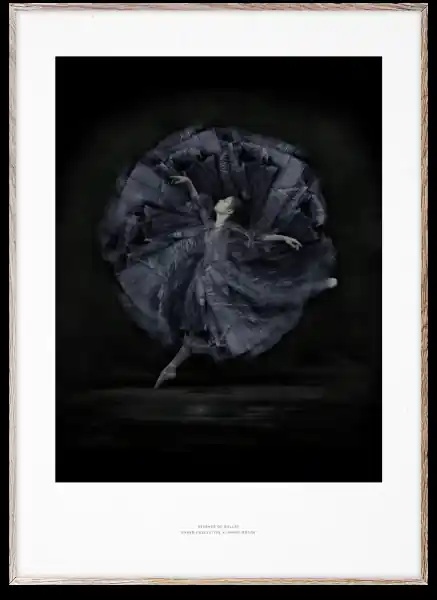 Köp nu Poster 'Essence of Ballet 06' 50x70 - Svart/Vit
