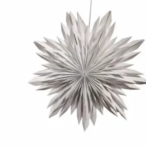Adventstjärna 'Oslo' 60cm - Beige Rabatter