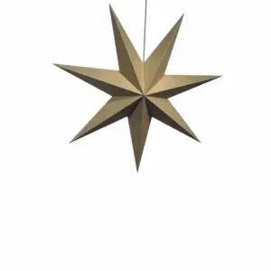 Adventsstjärna 'Sally' 60cm - Brun Säker betalning