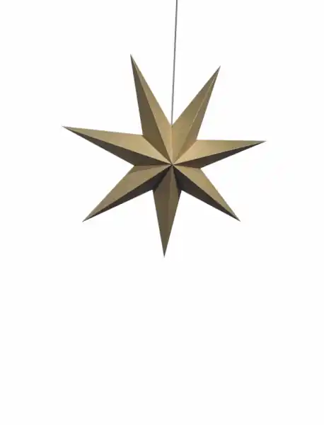 Adventsstjärna 'Sally' 60cm - Brun Säker betalning