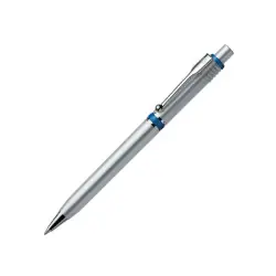 Kundfavorit Raja Chrome Silver
