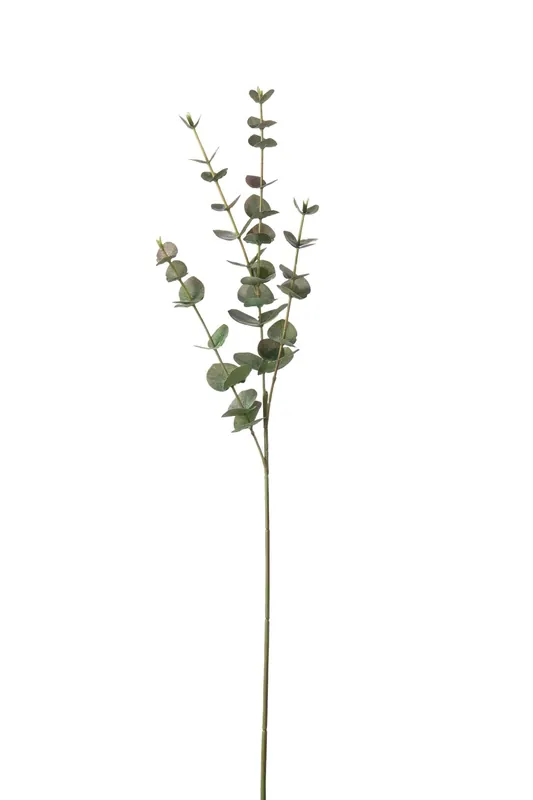 Eucalyptus Grå 60cm Premium
