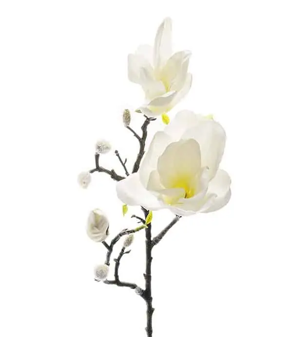 Rabatt Konstgjord Magnolia 60 cm – Vit Elegant Blomma
