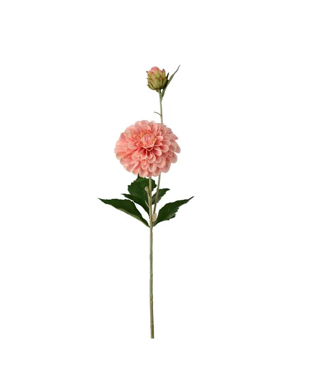Billig Dahlia Aprikos 66cm