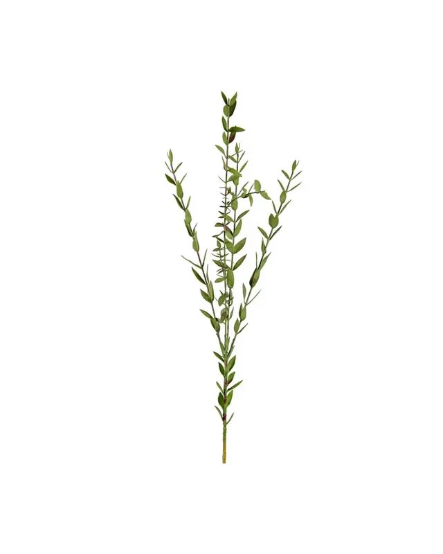 Nedsatt pris Eucalyptus 70 cm
