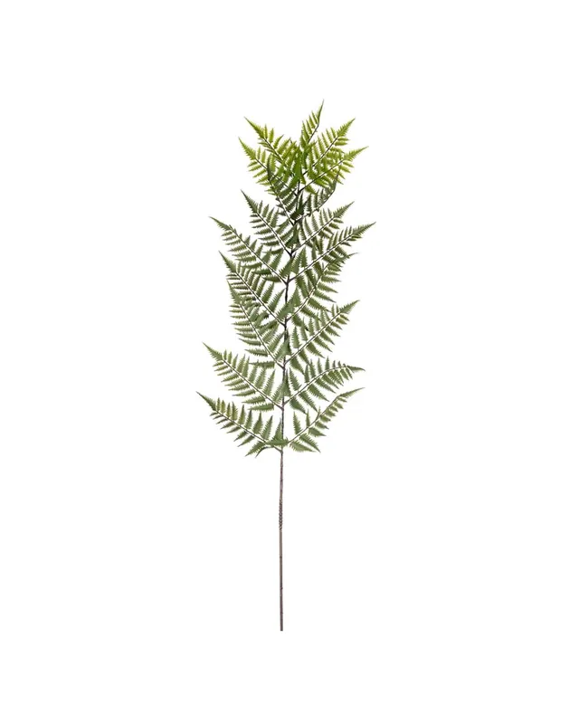 Ormbunksblad 180cm Rea
