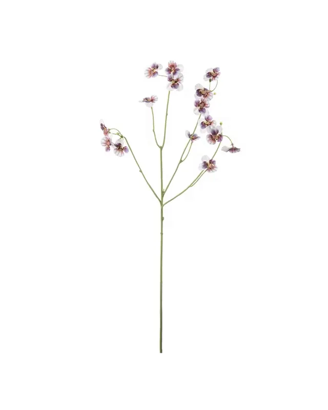 Pensé Lila 63 cm Extra rabatt