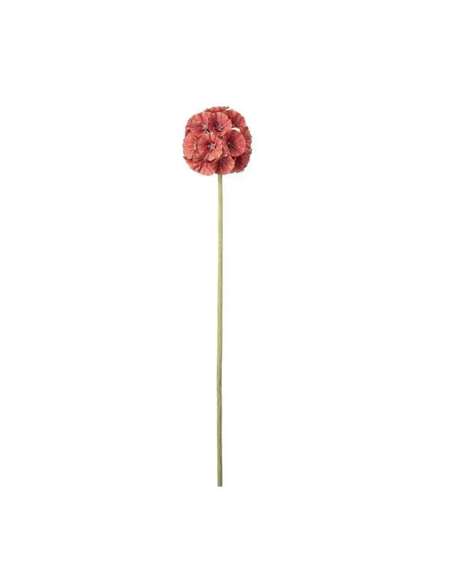 Nedsatt pris Scabiosa Orange 60 cm