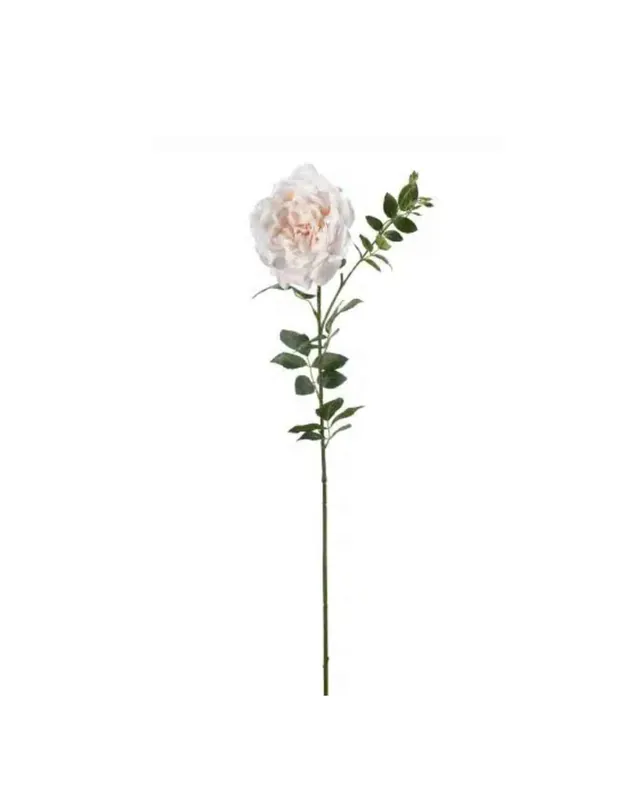 Ros Persika 90cm Beställ nu