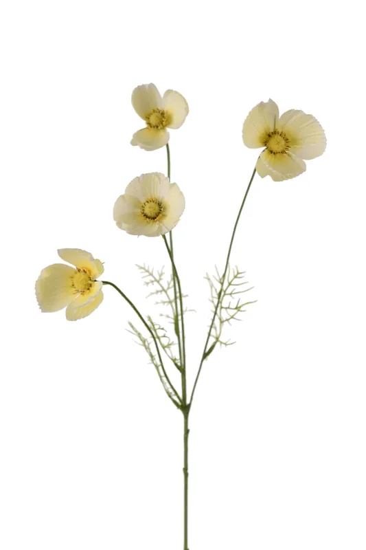 Handla nu Rosenskära Gul 60cm