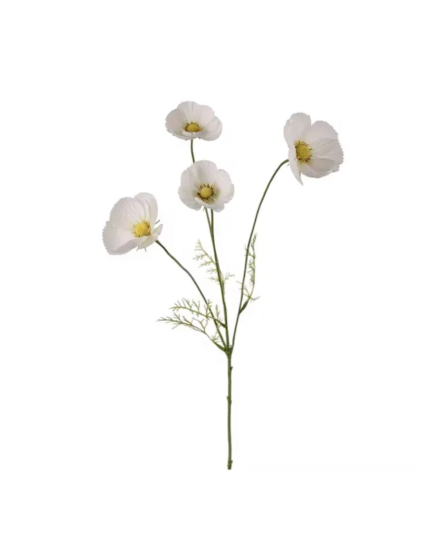 Rosenskära Vit 60 cm Begränsat erbjudande