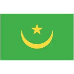 Flagga Mauretanien Endast idag