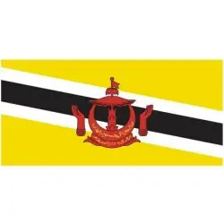 Flagga Brunei Darussalam Rabatt
