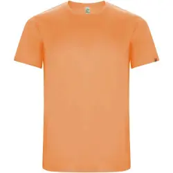 Imola 135 g/m² kortärmad funktions T-shirt för herr Begränsat erbjudande