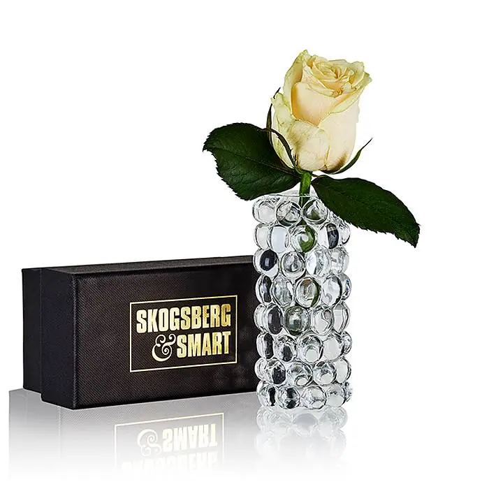 Bästa pris Skogsberg & Smart - Vas Hurricane Boule Mini Clear