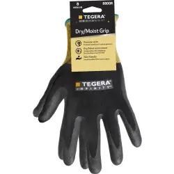 Nyhet TEGERA Infinity 8800R